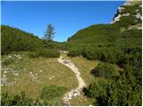 Konec ceste na Vogar - Planina Lopučnica